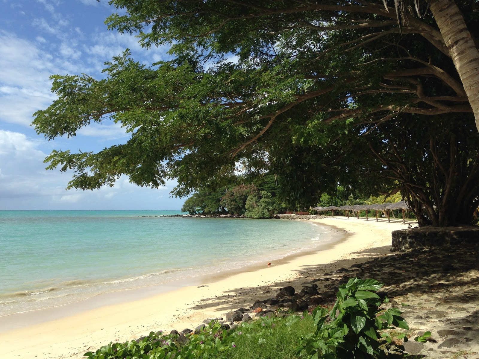 Foto van Sheraton Samoa met middle bays