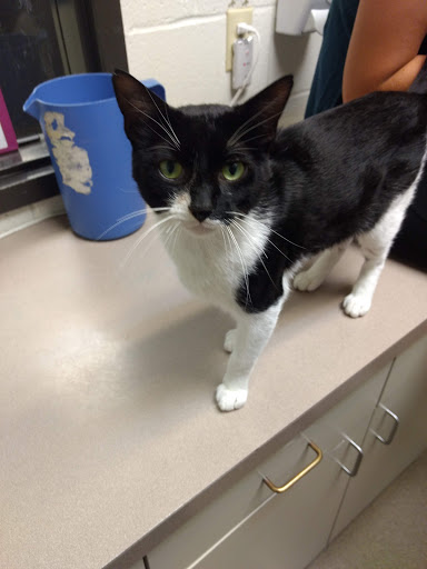 Non-Profit Organization «Heartland Humane Society», reviews and photos, 398 SW Twin Oaks Cir, Corvallis, OR 97333, USA