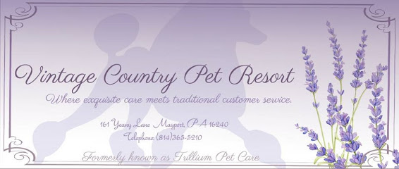 Vintage Country Pet Resort LLC