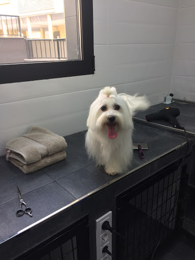 Clínica Veterinaria Sotobosque en Cáceres‎