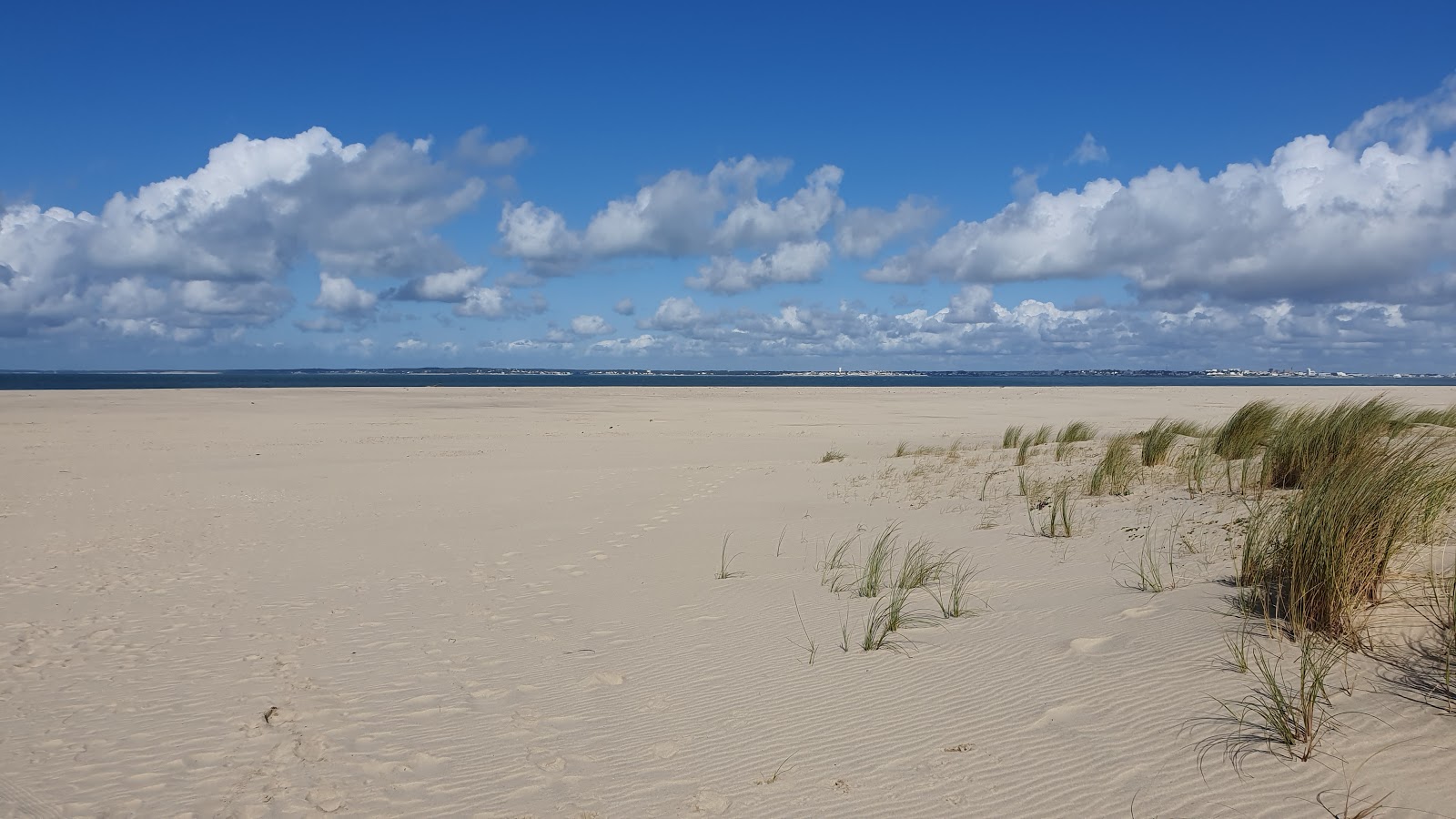 Valokuva Plage St. Nicolasista. villi alue