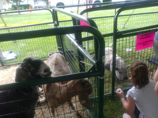 Community Center «Recreation Park», reviews and photos, 500 E Miner St, Arlington Heights, IL 60004, USA