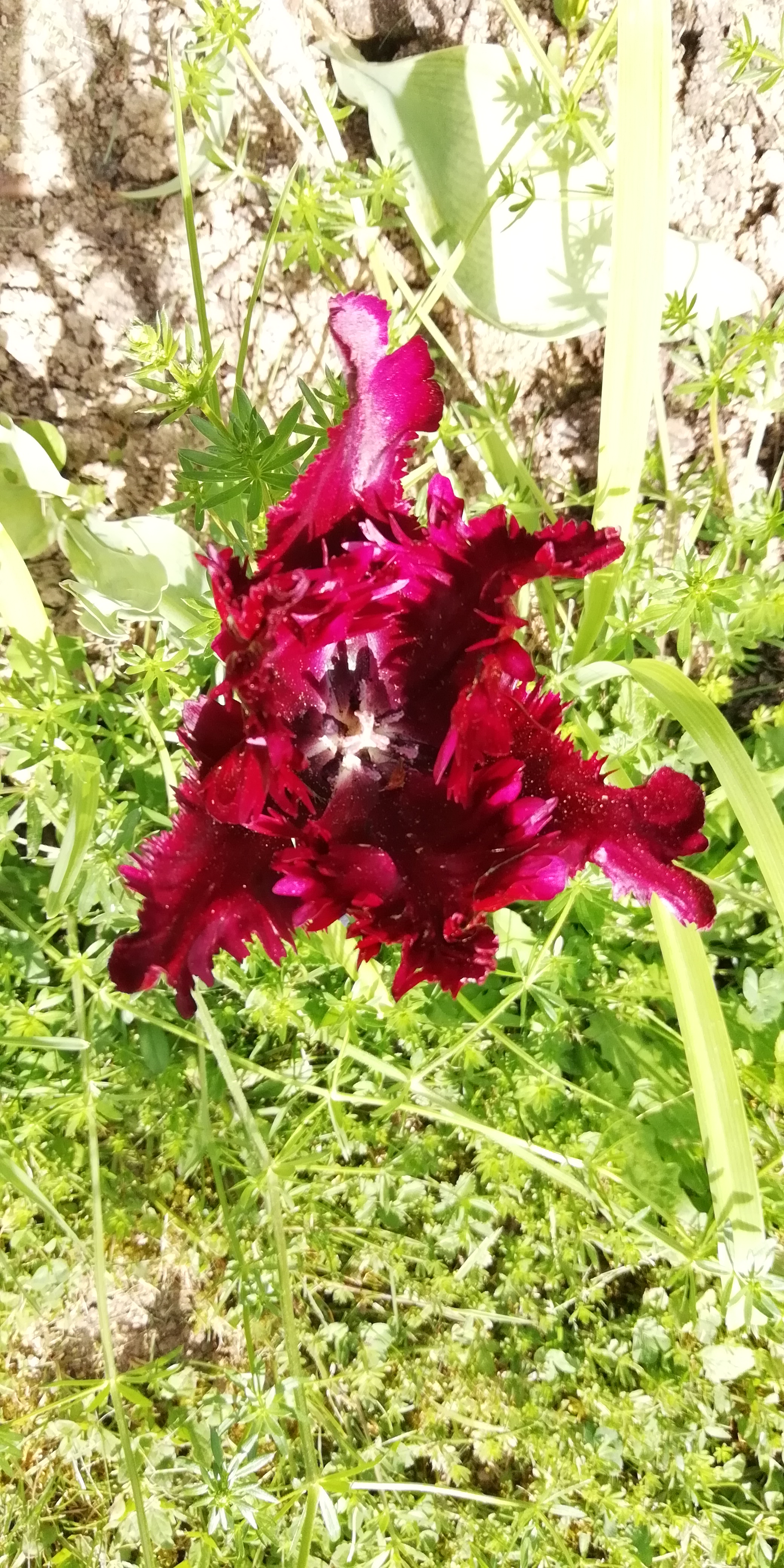 Photo n° 4 de l'avis de Gaele. fait le 29/04/2018 à 20:30