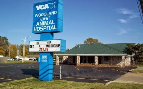 VCA Woodland East Animal Hospital image