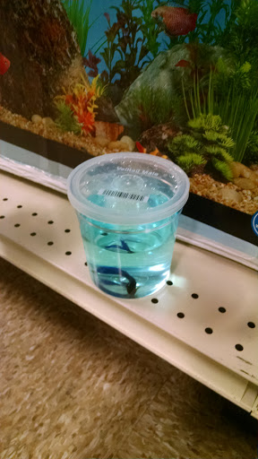 Pet Supply Store «PetSmart», reviews and photos, 4180 US-1, Monmouth Junction, NJ 08852, USA