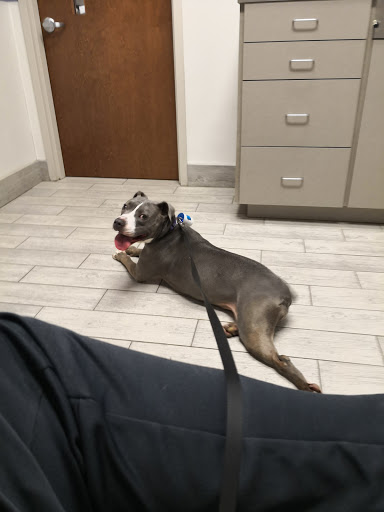 3511 Bridge Rd, Suffolk, VA 23435, USA