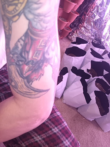 Tattoo Shop «Valor Tattoo», reviews and photos, 1448 Brownsville Rd, Feasterville-Trevose, PA 19053, USA