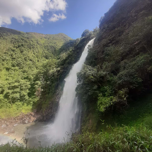 Cascada Salto Del Buey Medellin