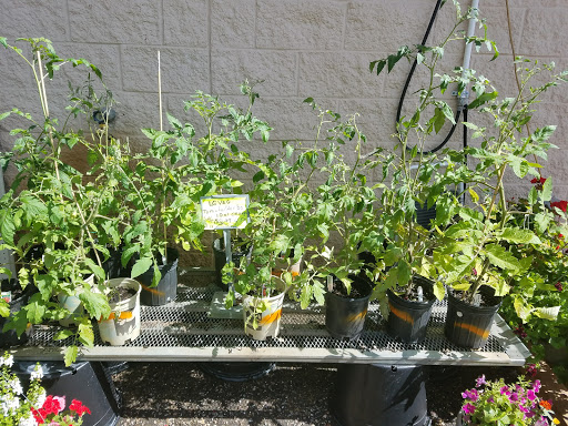 Hardware Store «Ham Lake Hardware Hank», reviews and photos, 17426 MN-65, Ham Lake, MN 55304, USA