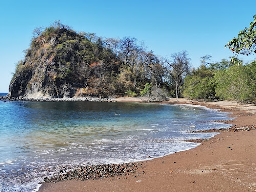 Honda Beach photo #2