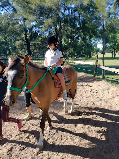 Horse riding lessons Rosario