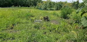 Ron Ory Community Garden Plots - photo 39