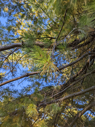 Park «Des Pres Park», reviews and photos, 4709 Lowe Rd, Louisville, KY 40220, USA