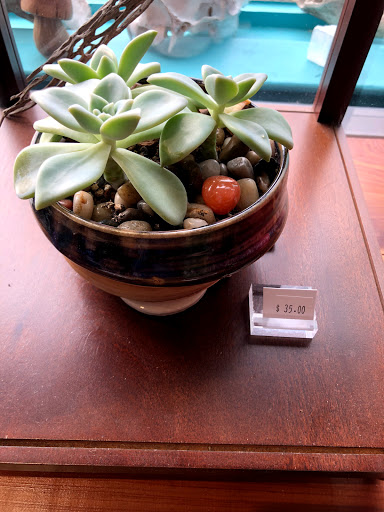 Tobacco Shop «Cosmic Cowboy Smoke Shop», reviews and photos, 2207 S Congress Ave, Austin, TX 78704, USA