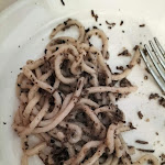 Photo n°8 de l'avis de giustaggio.I fait le 01/12/2022 à 10:37 sur le  Trattoria dei Cuccugnai à Foligno