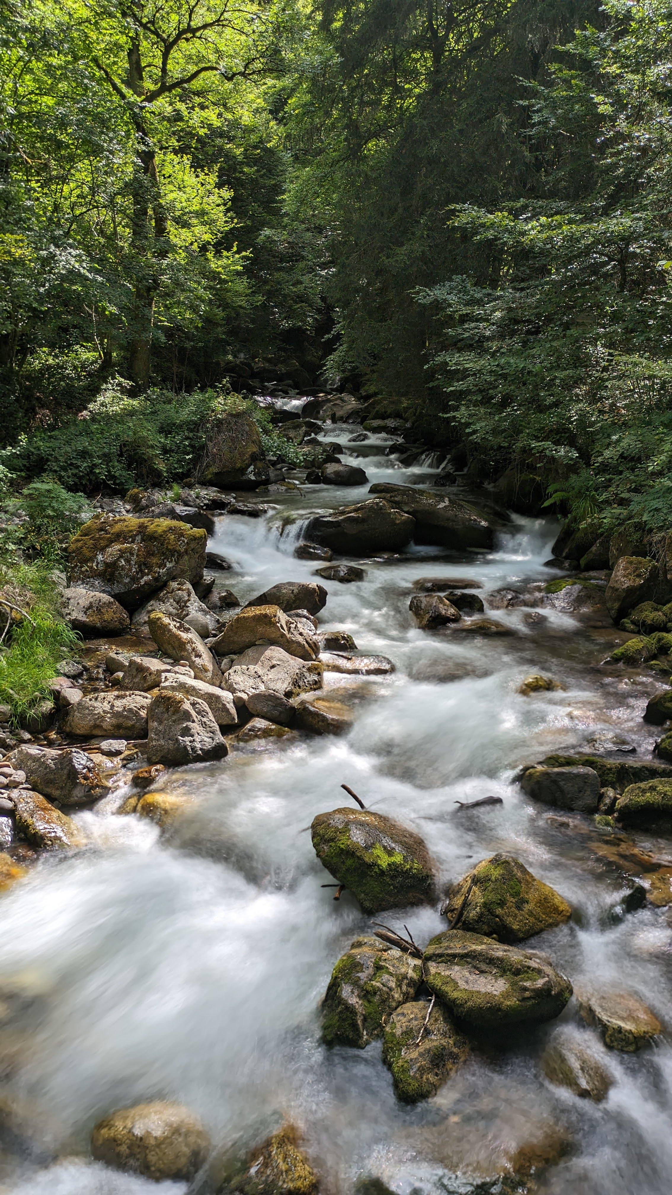 Photo n° 2 de l'avis de Dada.e fait le 15/08/2023 à 12:32