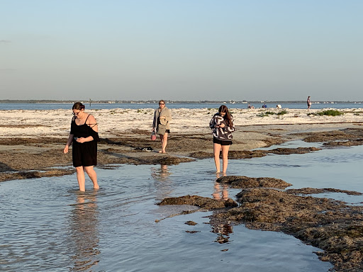 Boat Tour Agency «Spongeorama Cruise lines», reviews and photos, 510 Dodecanese Blvd, Tarpon Springs, FL 34689, USA