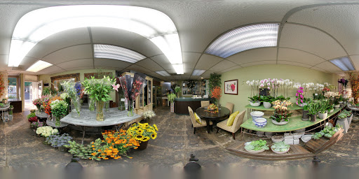 Florist «LARCHMONT VILLAGE FLORIST», reviews and photos, 420 N Larchmont Blvd, Los Angeles, CA 90004, USA
