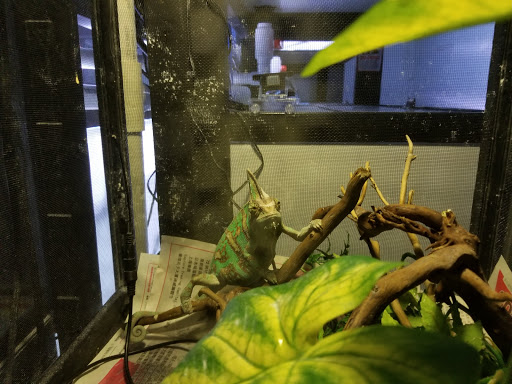 Pet Supply Store «Monster Aquarium Inc.», reviews and photos, 131-08 40 Rd, Flushing, NY 11354, USA