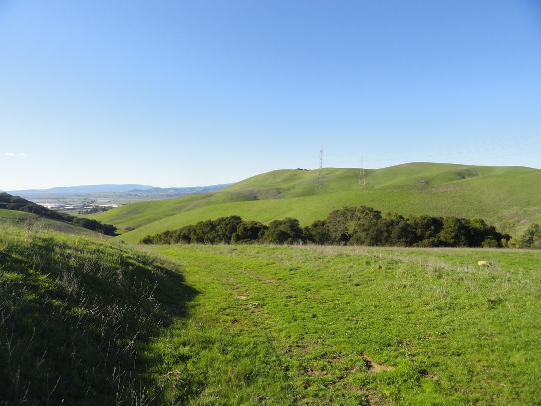 Newell Open Space