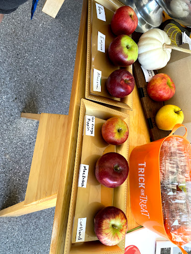 Orchard «Autumn Hills Orchard», reviews and photos, 495 Chicopee Row, Groton, MA 01450, USA