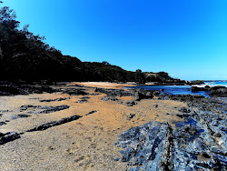 Minnie Water Back Beach'in fotoğrafı doğal alan içinde bulunmaktadır