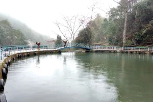 Gangamaya Park, Darjeeling, WB image