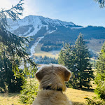 Photo n°19 de l'avis de Nadine.u fait le 24/03/2024 à 11:14 sur le  Oberjoch – Familux Resort à Bad Hindelang