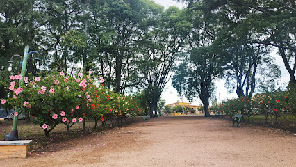 Plaza local