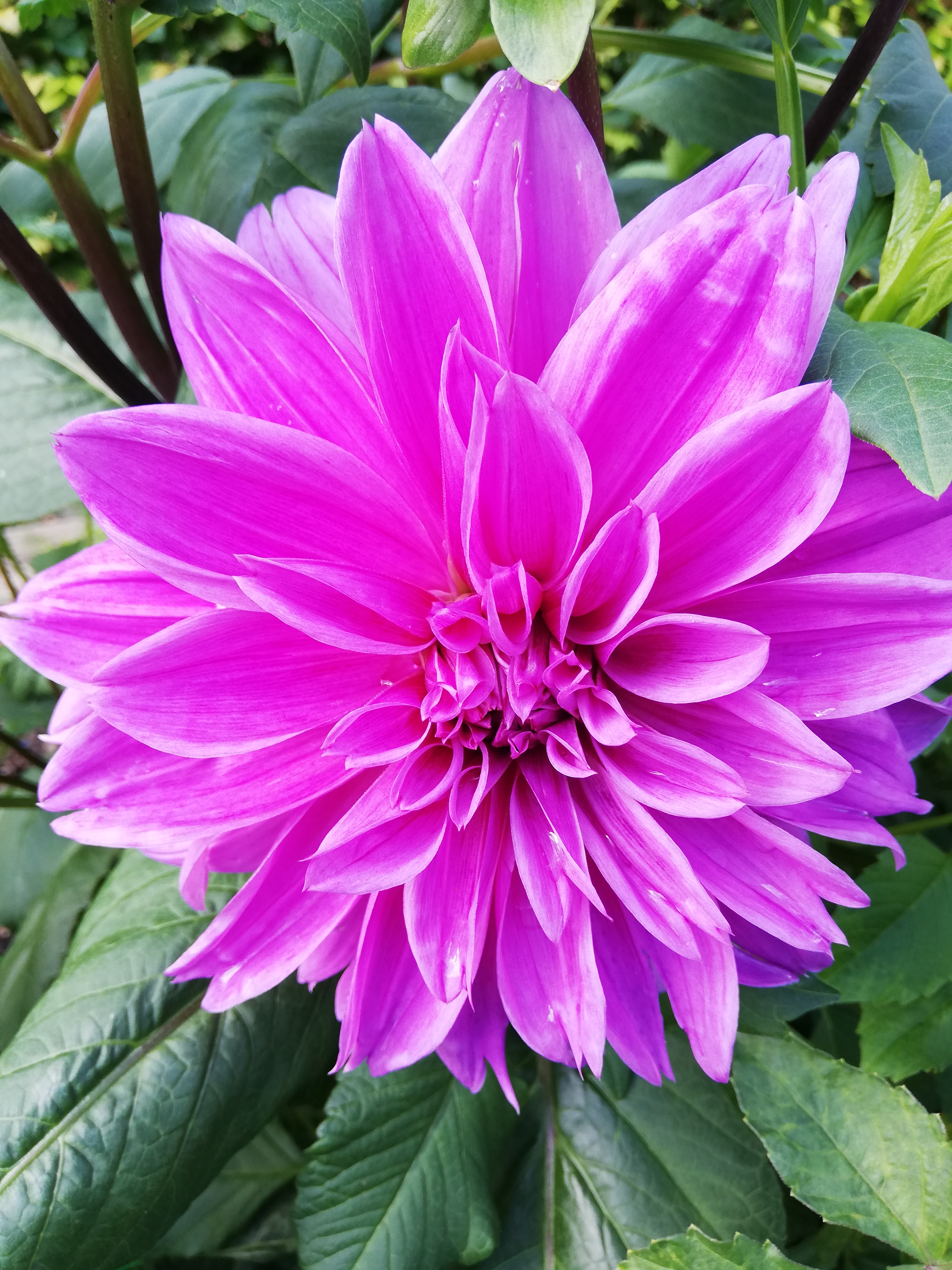 Photo n° 3 de l'avis de Samia.e fait le 16/08/2020 à 16:39