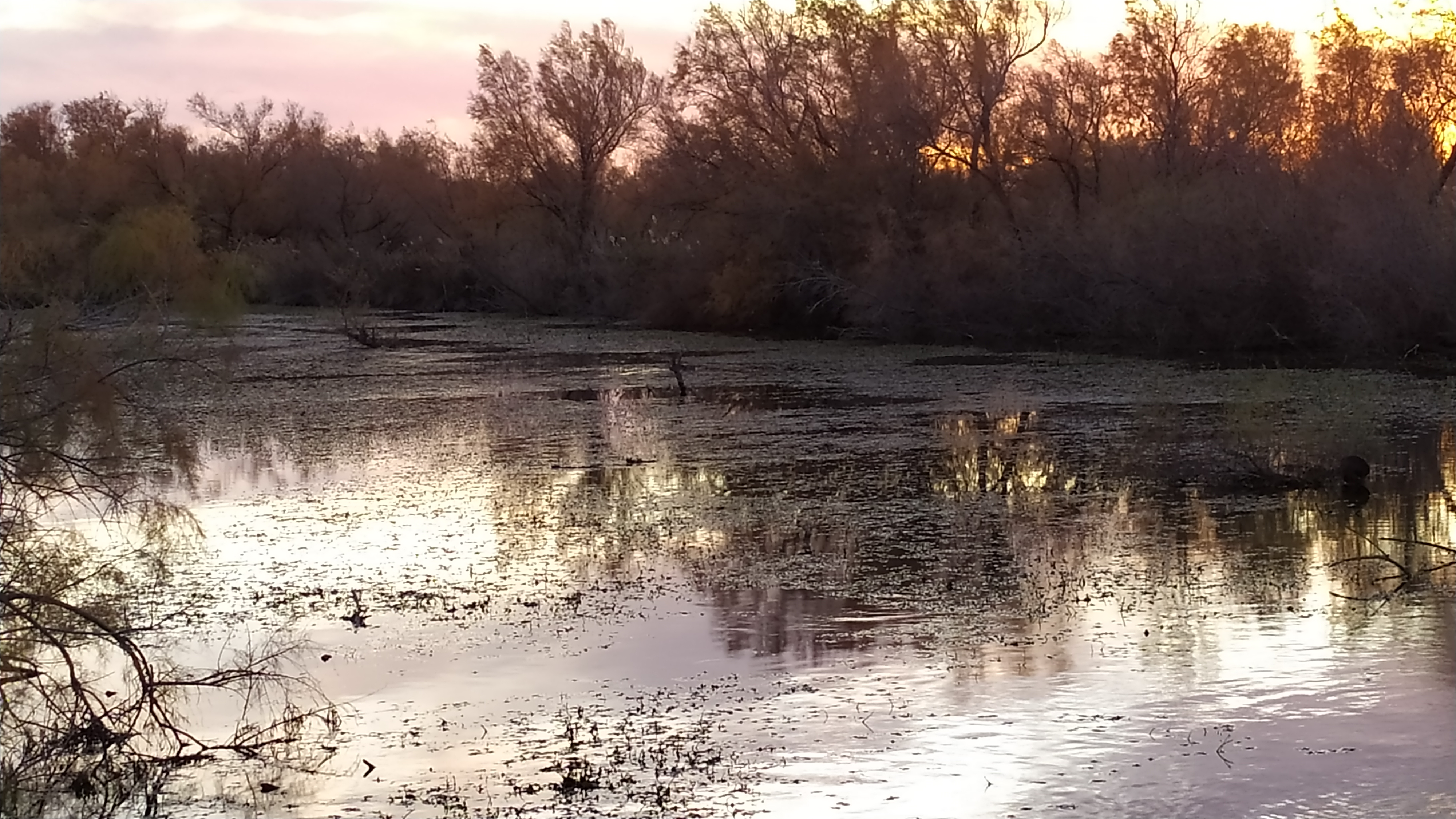 Photo n° 5 de l'avis de christine.a fait le 18/12/2019 à 18:45