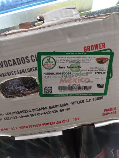 Grocery Store «Mexicana Grocery Store», reviews and photos, 3104 IN-32, Westfield, IN 46074, USA