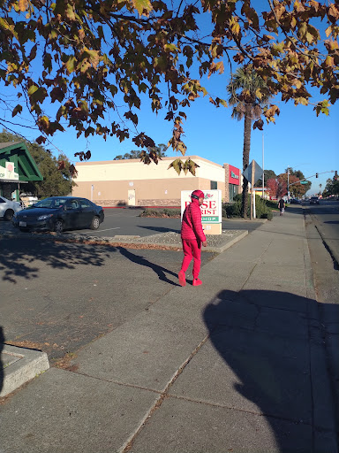 Rose Florist & Gift Shop, 1818 W Texas St, Fairfield, CA 94533, USA, 