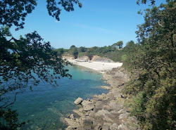 Foto di Plage des 4 sardines con baia spaziosa