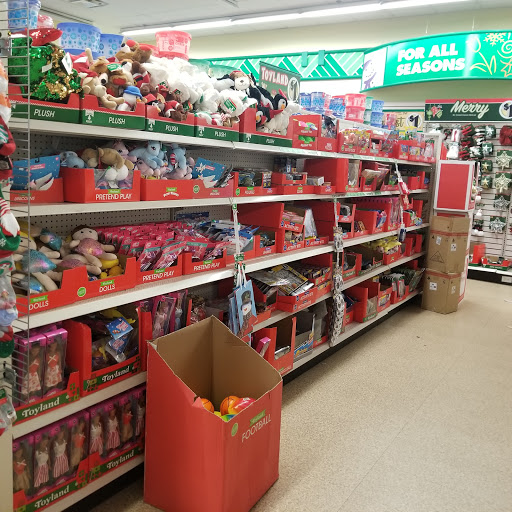 Dollar Store «Dollar Tree», reviews and photos, 1250 William D Tate Ave #400, Grapevine, TX 76051, USA