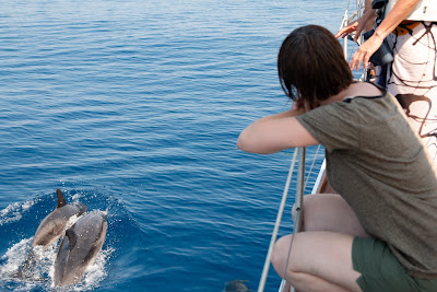 Wild Seas Explorer à Sanary-sur-Mer