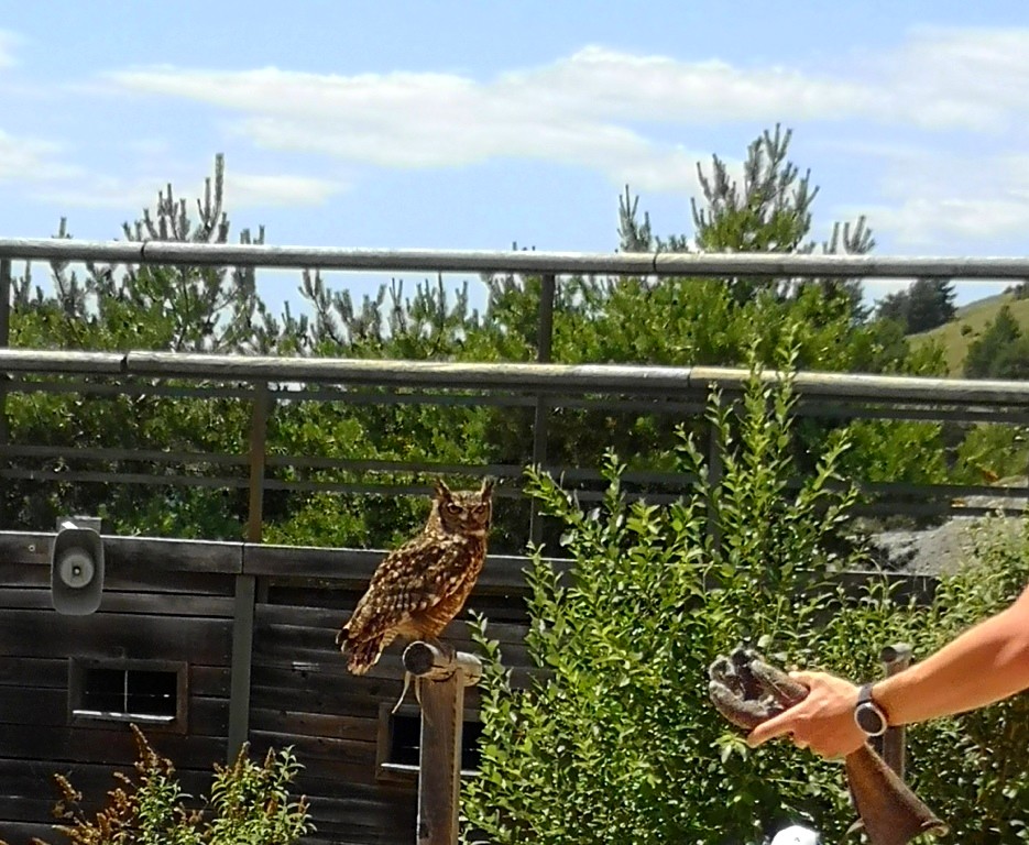 Photo n° 3 de l'avis de Thierry.E fait le 17/06/2022 à 17:40