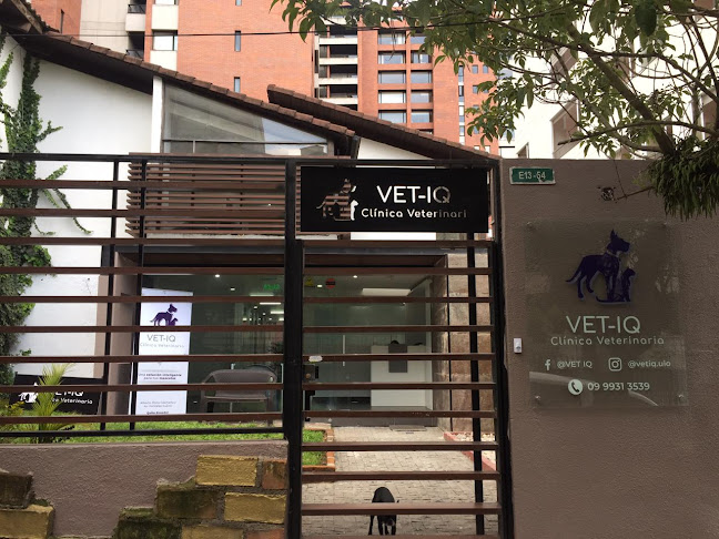 VET-IQ Clínica Veterinaria - Veterinario