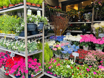 Les Fleurs du Point du Jour à Paris
