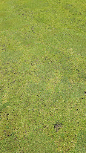 Golf Resort «Lakeview Hills Golf Resort», reviews and photos, 6560 Peck Rd, Lexington, MI 48450, USA