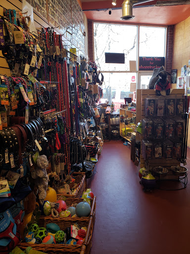 Pet Supply Store «Park Pet Supply Inc», reviews and photos, 479 Flat Shoals Ave SE # A, Atlanta, GA 30316, USA