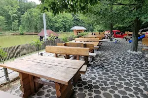 Restoran Izletište Tešendići image