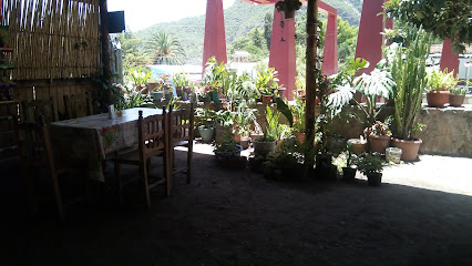 Comedor y Taqueria“los Carrizos'