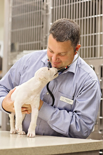 Pet Store «Market Street PET DEPOT», reviews and photos, 2979 S Market St, Gilbert, AZ 85295, USA