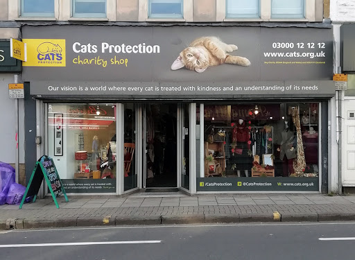 Cats Protection - Bristol Gloucester Road Charity Shop