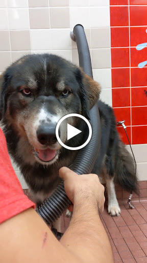 Pet Supply Store «Pet Food Express», reviews and photos, 631 Broadway, Millbrae, CA 94030, USA