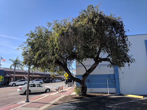 Gift Shop «Paradise Gifts & Home Décor», reviews and photos, 371 Corey Ave, St Pete Beach, FL 33706, USA