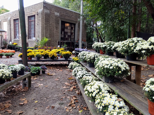 Garden Center «Chestnut Hill Flower & Garden», reviews and photos, 7639 Germantown Ave, Philadelphia, PA 19118, USA