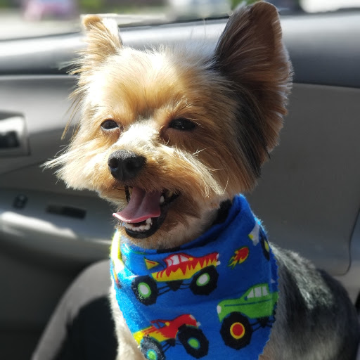 Pet Supply Store «Animal House Grooming & Quality», reviews and photos, 229 W Absecon Blvd, Absecon, NJ 08201, USA