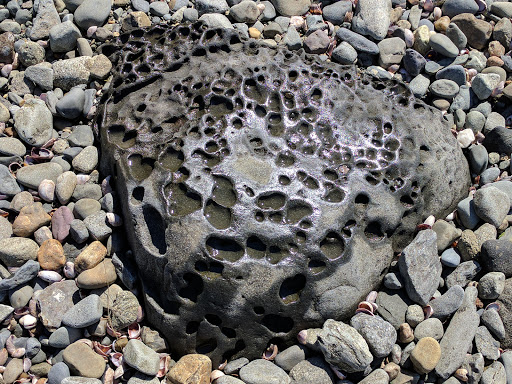 State Park «Colt State Park», reviews and photos, Route 114, Bristol, RI 02809, USA